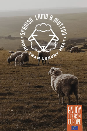 Luxury Lamb From Europe