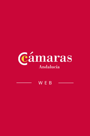 Diseño Web del Consejo Andaluz de Cámaras de Comercio