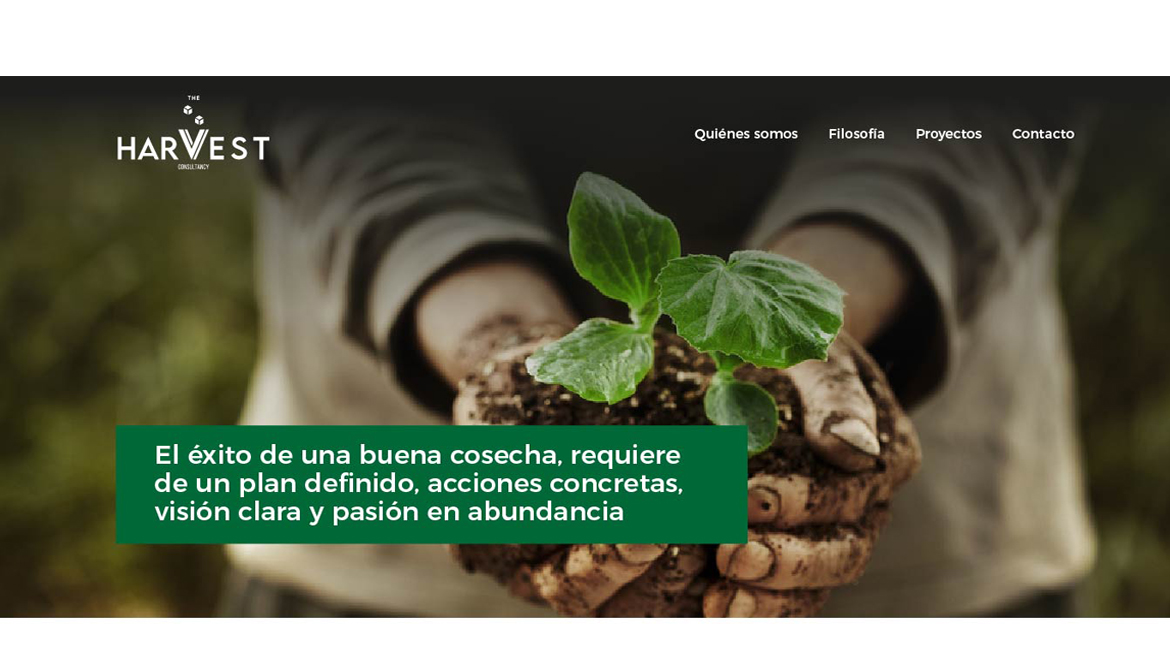 Construimos la web The Harvest Consultancy, arquitectos humanos con carácter 100% internacional